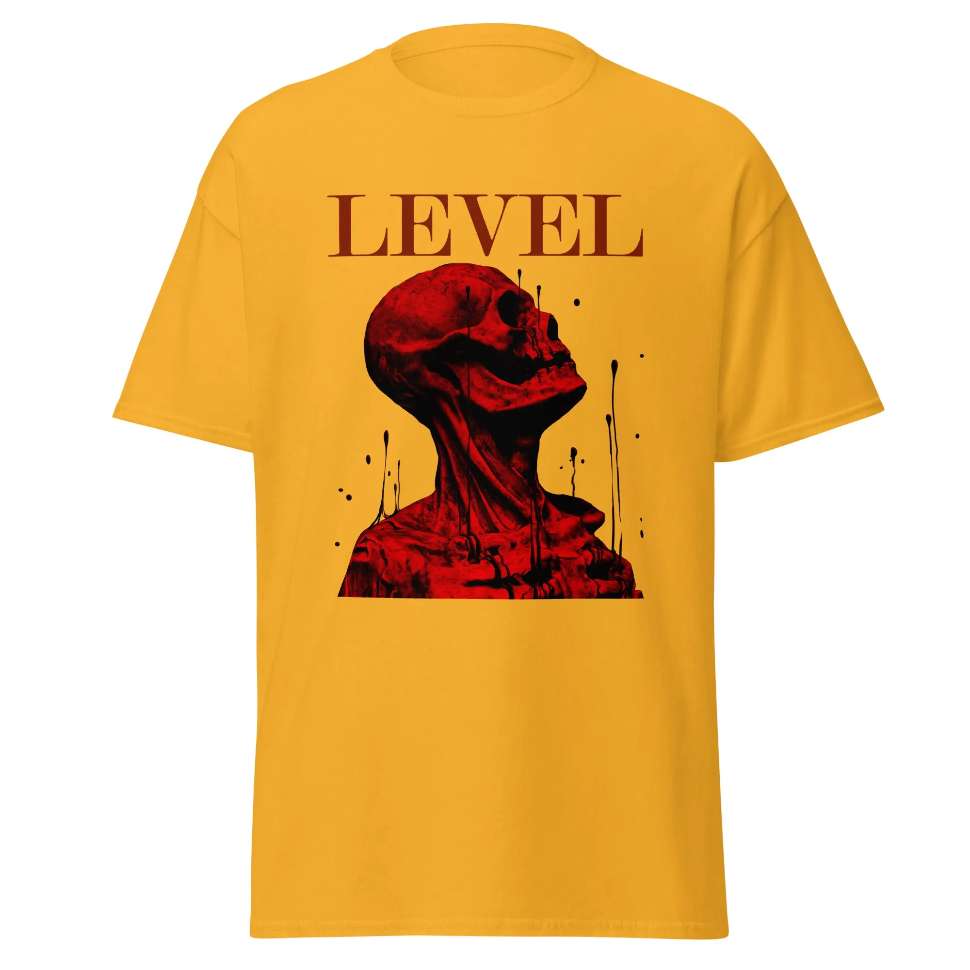 Level Men's classic tee