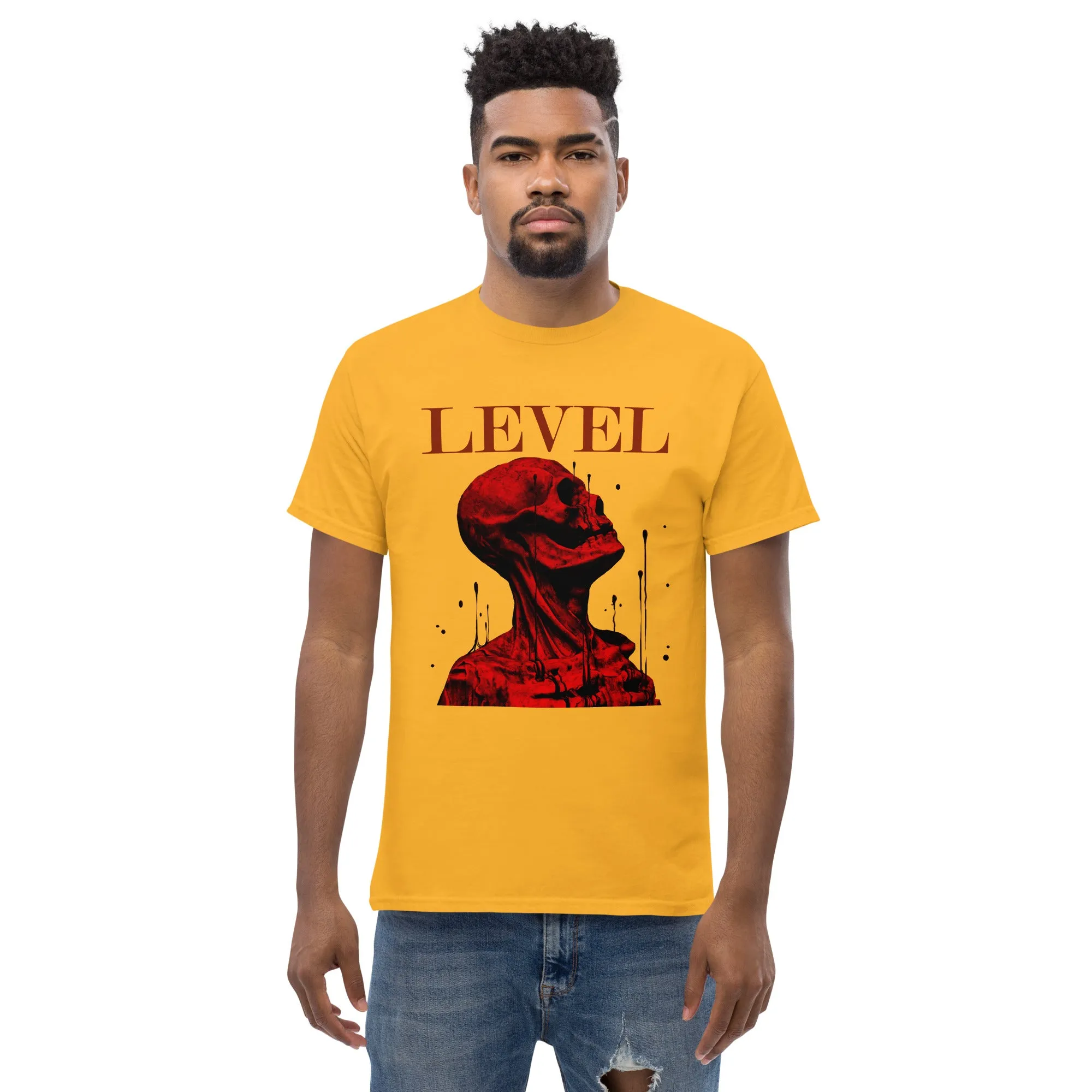 Level Men's classic tee